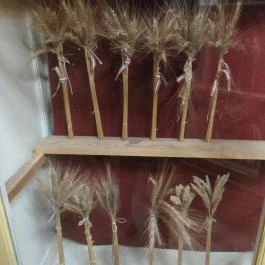 Komáromi erődrendszer - Monostori Erőd, Komárom - Egyéb