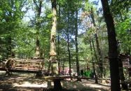 Holdfény Liget Kalandpark Gyöngyösfalu