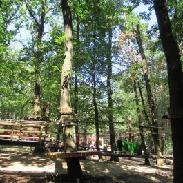 Holdfény Liget Kalandpark, Gyöngyösfalu - 