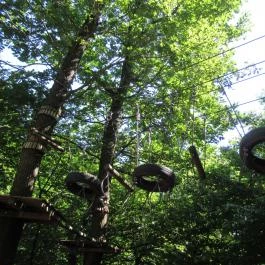 Holdfény Liget Kalandpark, Gyöngyösfalu - 