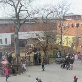 Holnemvolt Vár Budapest - Egyéb