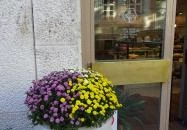 Home of Franziska Budapest