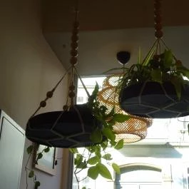 Home of Franziska Budapest - Belső