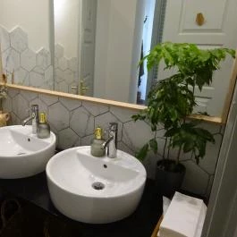 Home of Franziska Budapest - Mosdó