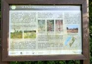 Homoktövis tanösvény Budapest