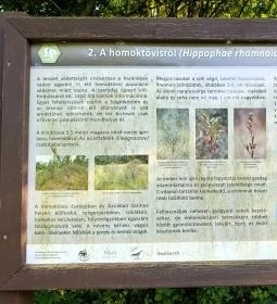 Homoktövis tanösvény