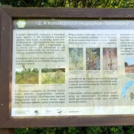 Homoktövis tanösvény Budapest - Egyéb