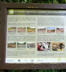 Homoktövis tanösvény