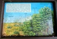 Homoktövis tanösvény Budapest