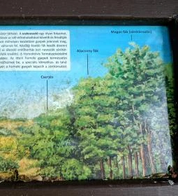 Homoktövis tanösvény