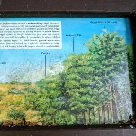 Homoktövis tanösvény Budapest - Egyéb