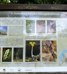 Homoktövis tanösvény