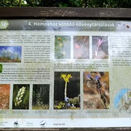 Homoktövis tanösvény Budapest - Egyéb