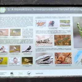 Homoktövis tanösvény Budapest - Egyéb