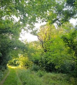 326. legjobb látnivaló: Homoktövis tanösvény