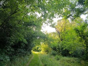 Homoktövis tanösvény Budapest