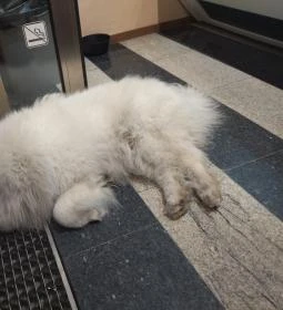 Hópihe Cookies & More