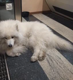 Hópihe Cookies & More