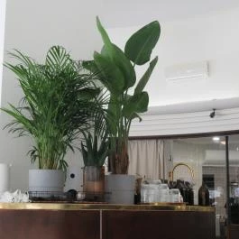 Horizont Budapest - Belső