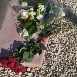 A Horthyligetre hurcoltak emlékműve, Budapest - Egyéb