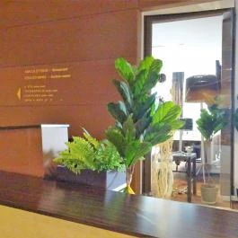 Abacus Business & Wellness Hotel, Herceghalom - Belső