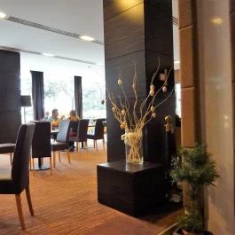 Abacus Business & Wellness Hotel, Herceghalom - Belső