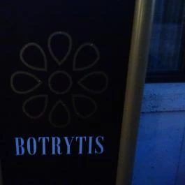 Hotel Botrytis Mád - Egyéb