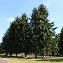Hotel Buják, Buják - Környék