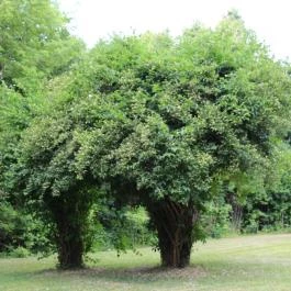 Hotel Buják, Buják - Környék