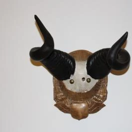 Hotel Buják, Buják - Egyéb