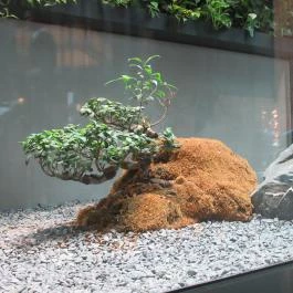 Hotel Clark Budapest - Belső