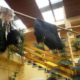 Hotel Dzsungel Nyíregyháza - Belső