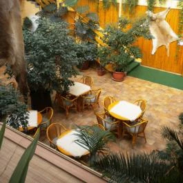 Hotel Dzsungel Nyíregyháza - Vendéglátás
