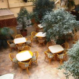 Hotel Dzsungel Nyíregyháza - Belső