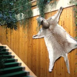 Hotel Dzsungel Nyíregyháza - Egyéb