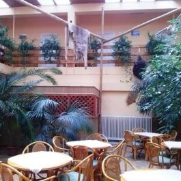 Hotel Dzsungel Nyíregyháza - Belső
