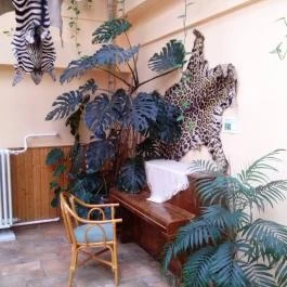 Hotel Dzsungel Nyíregyháza - Belső