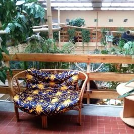 Hotel Dzsungel Nyíregyháza - Belső