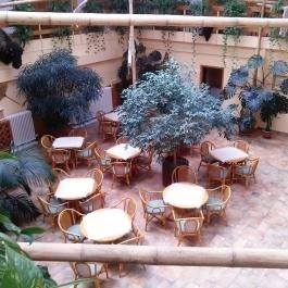 Hotel Dzsungel Nyíregyháza - Belső