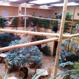 Hotel Dzsungel Nyíregyháza - Belső