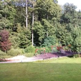 Hotel Fagus Sopron - Medence/kert