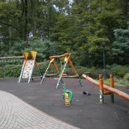 Hotel Fagus Sopron - Medence/kert