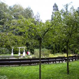 Hotel Fagus Sopron - Környék