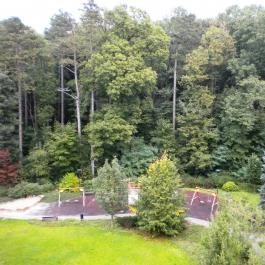 Hotel Fagus Sopron - Medence/kert