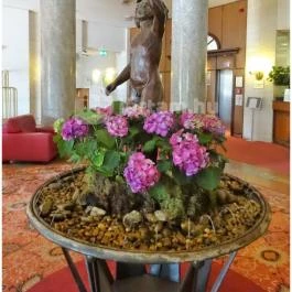 Danubius Hotel Gellert Budapest - Belső