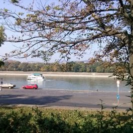 Danubius Health Spa Resort Helia Budapest - Környék