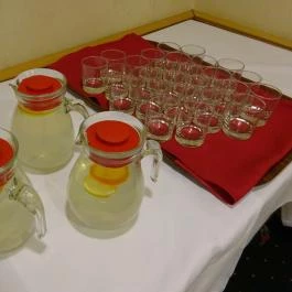 Hotel Hungaria City Center - Fiáker Étterem Budapest - Étel/ital