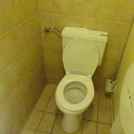 Hotel Hungaria City Center - Fiáker Étterem Budapest - Mosdó