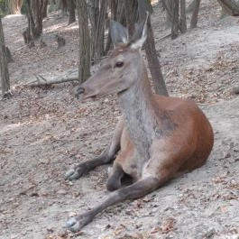 Hotel Hunor Sátoraljaújhely - Környék