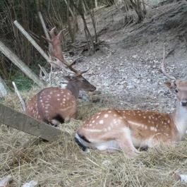 Hotel Hunor Sátoraljaújhely - Környék